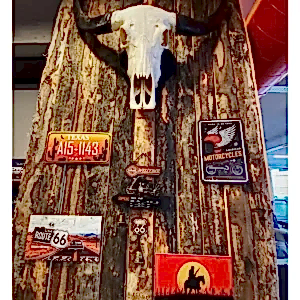 9C13FFA0-1FBD-4D93-835E-BDCA1C6AF39B